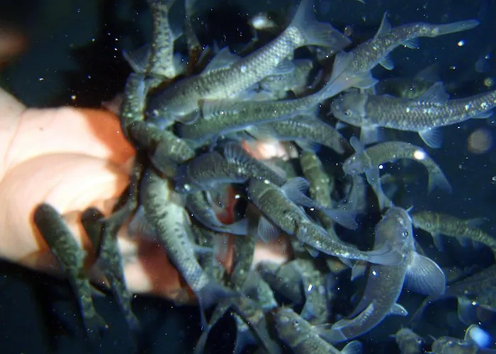 Krakonoš Hotel Mariánské Lázně